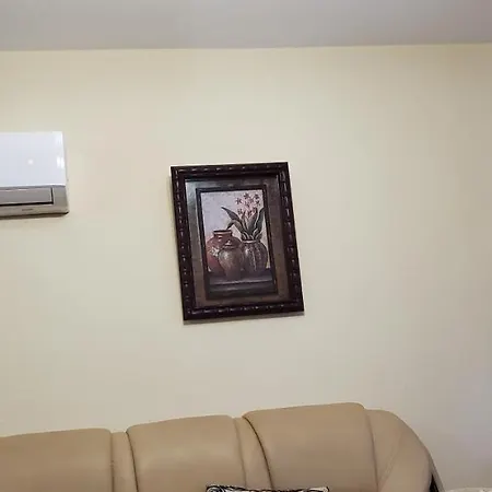 Berberi بورغراديك