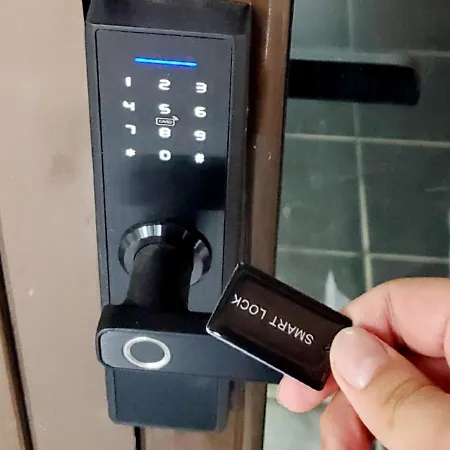 Berberi بورغراديك