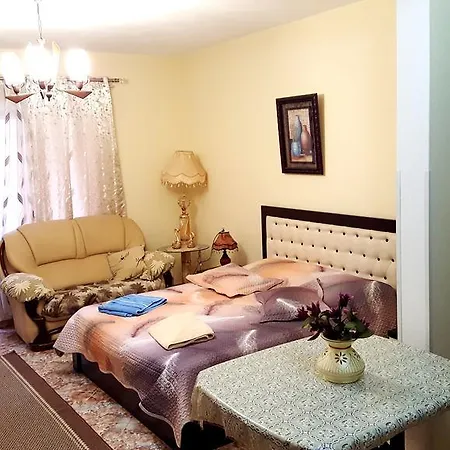 Berberi 2* بورغراديك