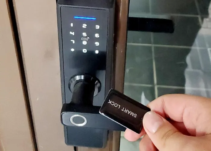 Berberi بورغراديك